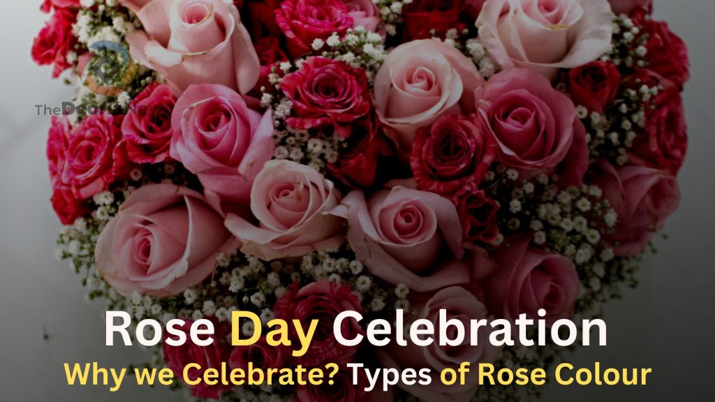 Rose Day Celebration,Why we Celebrate Types of Rose Colour