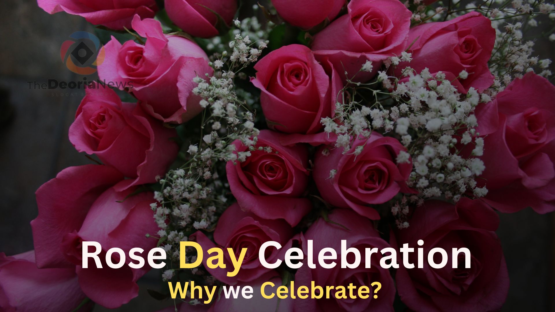 Rose Day Celebration,Why we Celebrate