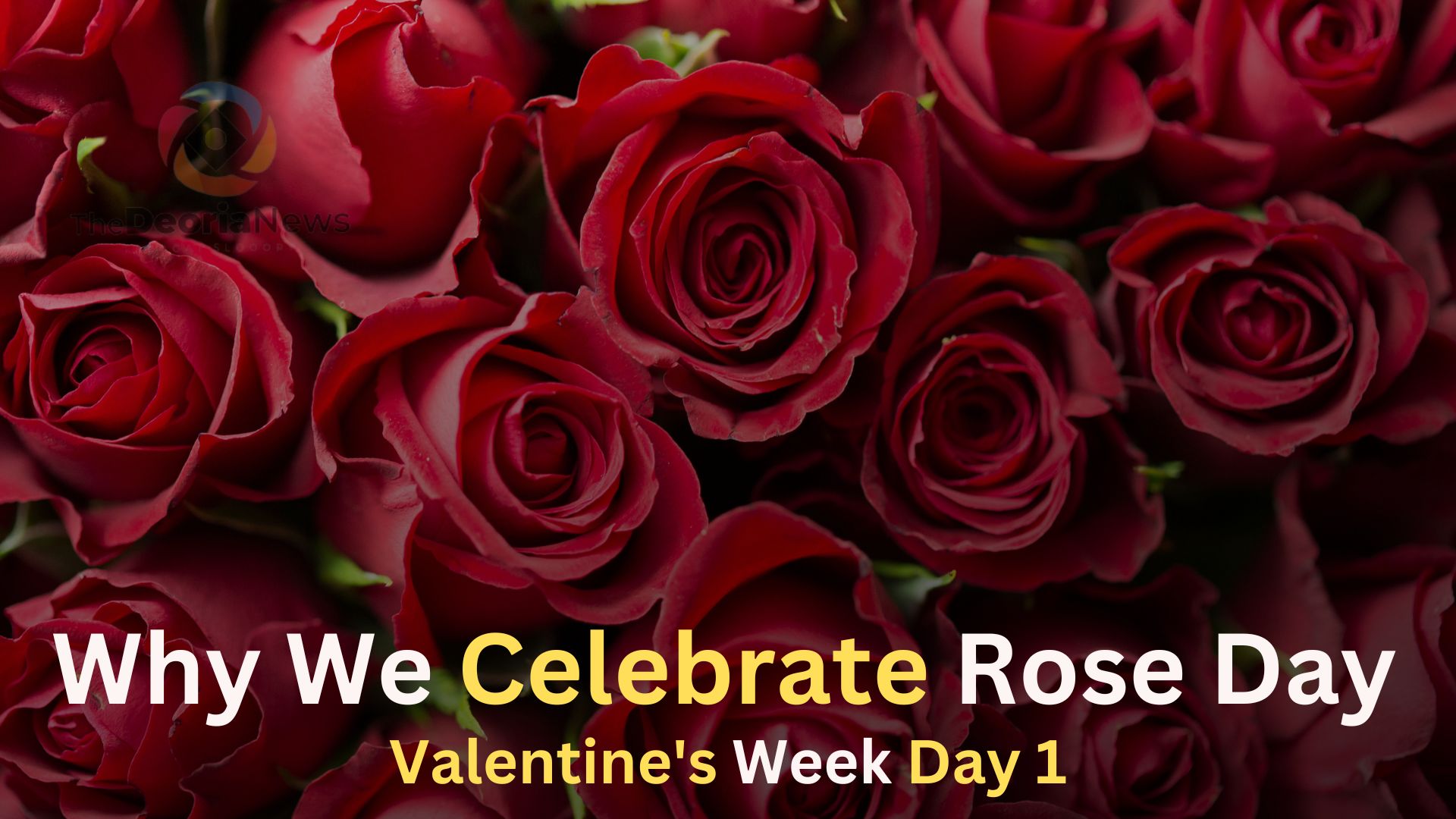 Why We Celebrate Rose Day,Valentine's Week Day 1