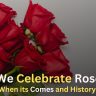 Why We Celebrate Rose Day,When its Comes and History [2024]