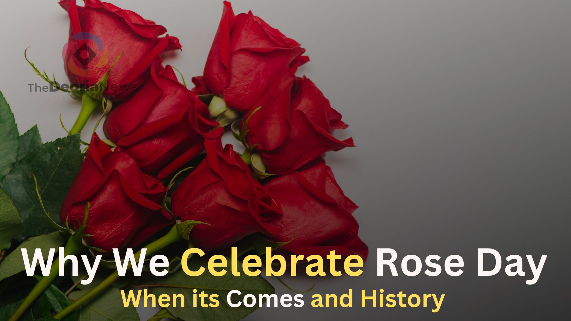 Why We Celebrate Rose Day,When its Comes and History [2024]