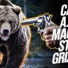 Can a 357 Magnum kill a Grizzly Bear_